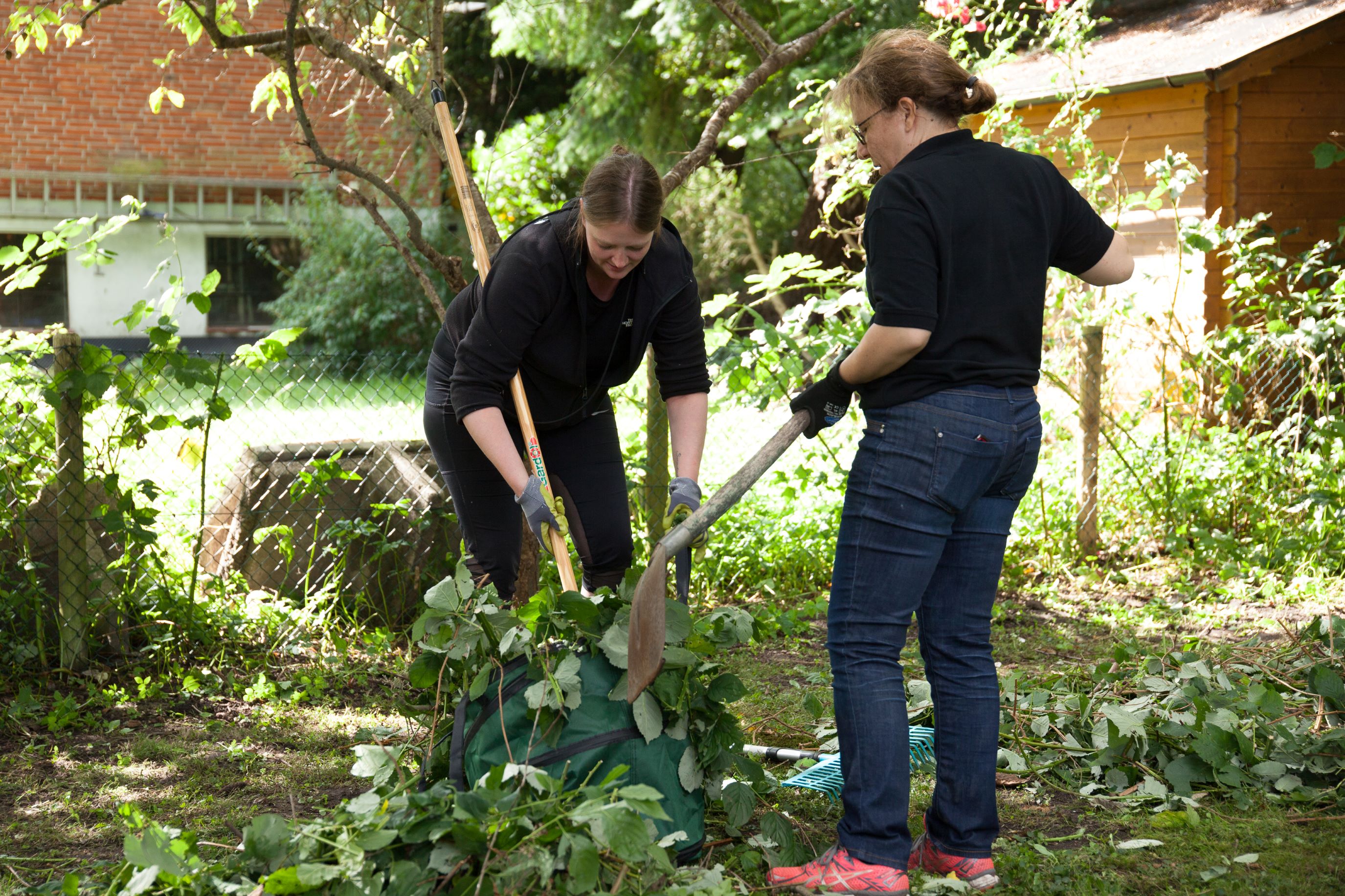 Wi mook dat. Garten der Mädchen-Wohngruppe verschönern